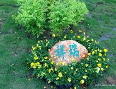 贵州遵义市陵园人文纪念园风水位置地址