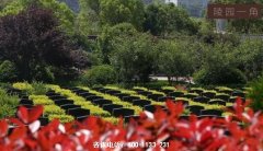 黑龙江大庆市区和周边有什么陵园公墓？