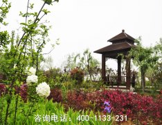 河南郑州黄河纪念公园怎么样？