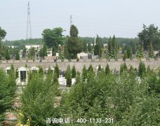 山西运城永济市常青园公墓位置在哪里、