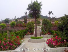 黑龙江齐齐哈尔仙鹤墓园联系电话、位置