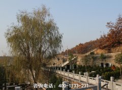 河南洛阳凤凰山生态纪念墓园位置在哪里