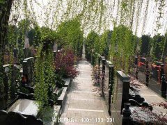 广东深圳市区和周边有什么陵园公墓？墓
