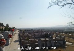 江苏无锡桃园山公墓墓式各异，种类繁多