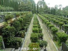 重庆长寿区公墓价格多少？