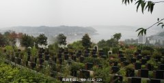 重庆市南山灵安陵园墓地价格最便宜多少
