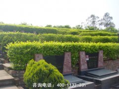 西安公益性陵园墓地有哪些？陕西省西安市公益性公墓一览