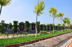 天津市东丽区东华林陵园墓地价格最低多少钱？
