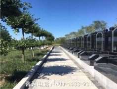 河北文安县清颐园陵园墓地价格最便宜多少钱？