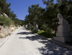 秦皇岛的公墓多少钱一块墓地?公墓的有效