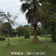 四川南充市仪陇县墓地价格表-仪陇县公墓价格-墓地环境-陵园位置大全