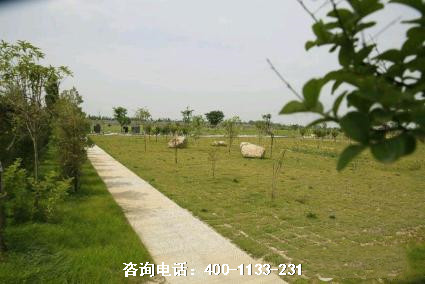 山东济宁市泗水县无影山公墓