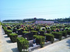 河南偃师市墓地价格汇总、偃师墓地现在多少价位多少钱？-殡葬信息网