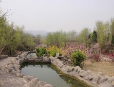 山东泗水县无影山陵园墓地价格最低多少钱？