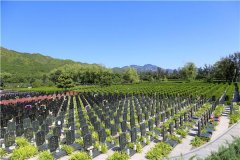 北京市平谷区公墓|平谷区公墓价格|平谷区公墓销售官网
